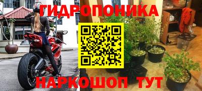 таблы Бийск