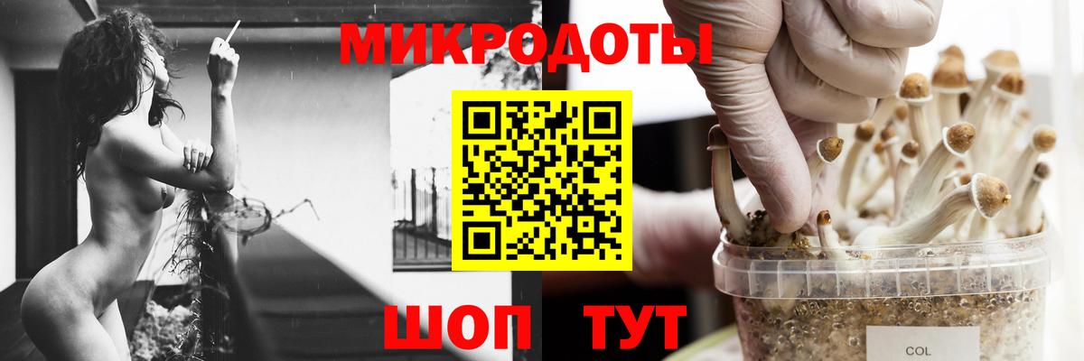 Жигулёвск  Псилоцибиновые грибы прущие грибы  Вход с VPN 